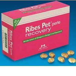 RIBES PET RECOVERY BLISTER 60 PERLE - FARMACIA ALL'ANGELO